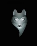 NEWEST FRAUDFOX + ANTIDETECT + 100 WORTH OF BONUS SOFTWARES / TUTORIALS