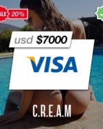 VISA Prepaid $7000 Balance