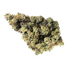 Dartmouth Kush