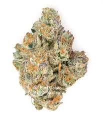 Jet Fuel Gelato