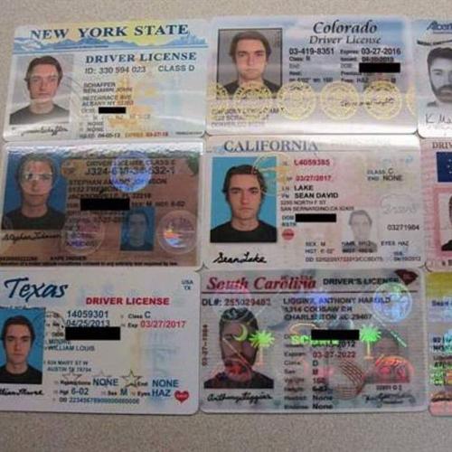 Drivers License Templates - USA (47 States) ♕ + ADOBE PHOTOSHOP 2025 INSTANT DELIVERY