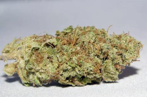 3.5g HEADBANGER - United Kingdom NEXT DAY