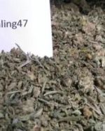 56g ) SHAKE - UNITED KINGDOM