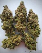 Black Widow 10g (THC:24%)