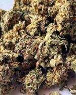 TANGIE (VHQ+++) 10g