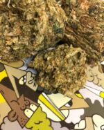 50g Amnesia Weed