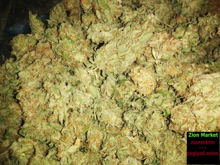 Bolivia Kush 10 Gr